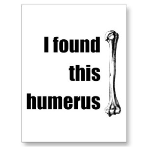 i-found-this-humerus