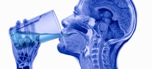 Sagittal image of a person drinking a glass of water.